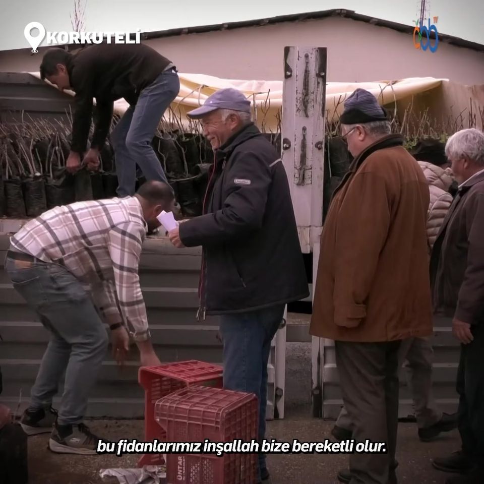 Antalya Büyükşehir Belediyesi, Korkuteli'deki çiftçilere Antep fıstığı fidanı dağıttı.