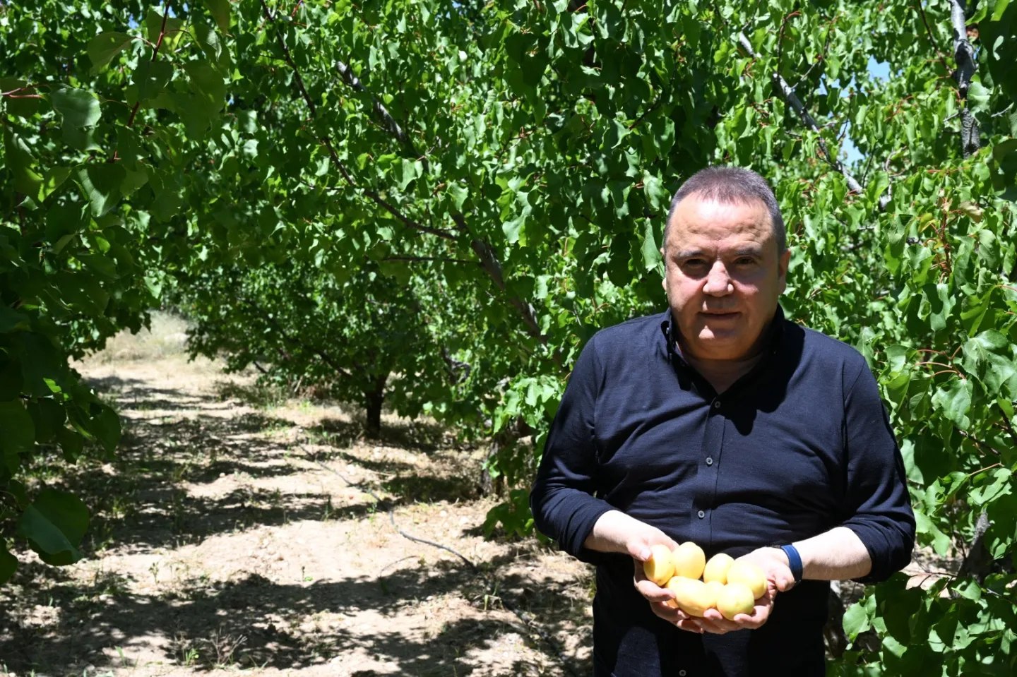 Antalya Büyükşehir Belediyesi, Çiftçilere Yerel Destek Sağlıyor
