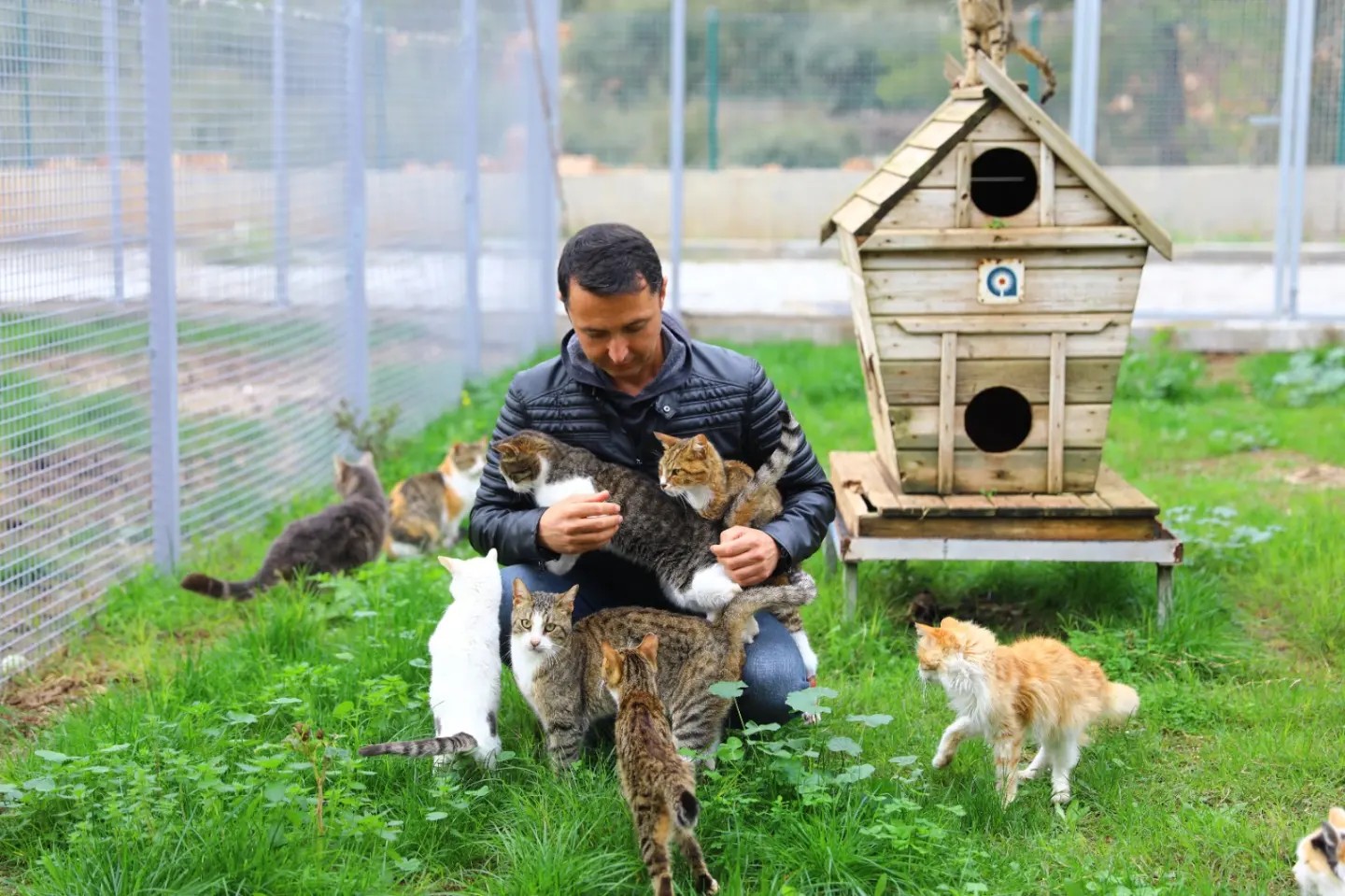 Antalya Büyükşehir Belediyesi, Sokak Hayvanlarına Yeni Bir Umut Oldu