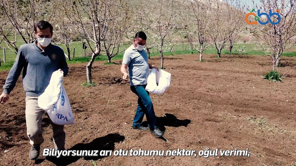 Antalya Büyükşehir Belediyesi, Kırsal Kalkınma Hamlesi kapsamında yerel çiftçilere arıcılık eğitimleri veriyor.