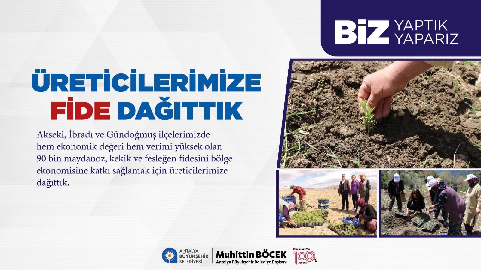 Antalya Büyükşehir Belediyesi, Çiftçilere Ekonomik Değeri Yüksek Fideler Dağıttı