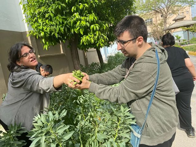 Antalya'da Otizm Gündüz Bakım Merkezi'nden özel gereksinimli bireylere öz bakım becerileri kazandıran sebze toplama etkinliği